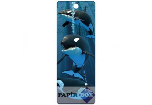 3D könyvjelző, Kardszárnyú delfinek