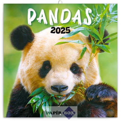 Lemeznaptár, 2025. Pandák