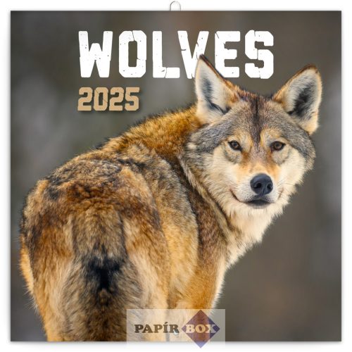 Lemeznaptár, 2025. Wolves, Farkasok