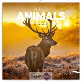 Falinaptár, lemeznaptár, 2026. Vadállatok (Wild animals)