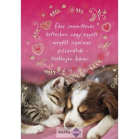 Képeslap, Valentin nap, cica-kutya