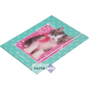 Gumis mappa A5, Rachael Hale - Macska