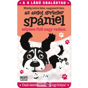 Angol springer spániel fém ajtótábla