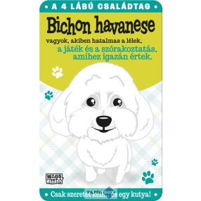 Fém ajtótábla, Bichon havanese