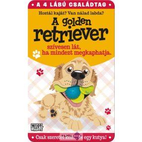 Golden retriever fém ajtótábla