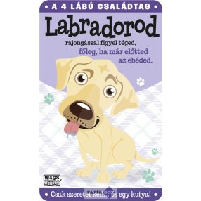 Fém ajtótábla, Labrador
