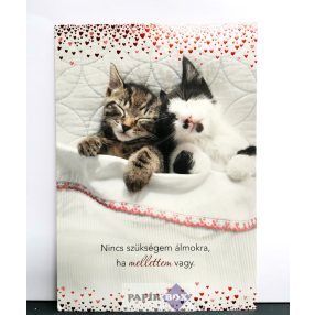 Képeslap, Szerelem, cicák