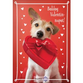 Képeslap, Valentin-nap, Kutya bonbonnal