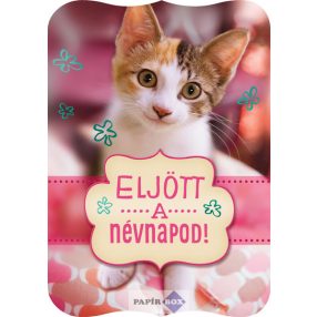 Képeslap, névnap, cicás