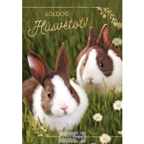 Képeslap, húsvét, barna-fehér nyuszik