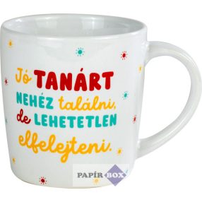 03 Tanár bögre, Jó tanárt nehéz találni...