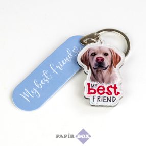 17. My best friend kulcstartó, Labrador, drapp