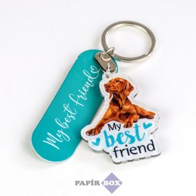 19. My best friend kulcstartó, Magyar vizsla