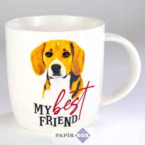 09. My best friend bögre, Beagle