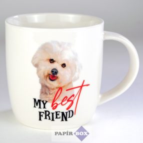 10. My best friend bögre, Bichon havanese