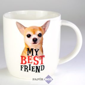 13. My best friend bögre, Csivava