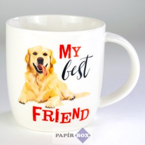 16. My best friend bögre, Golden retriever