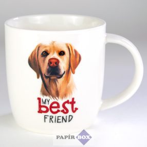 17. My best friend bögre, Labrador, drapp