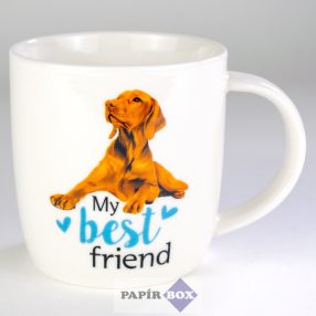 19. My best friend bögre, Magyar vizsla