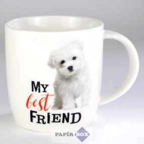 21. My best friend bögre, Máltai selyemkutya