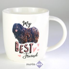 25. My best friend bögre, Puli