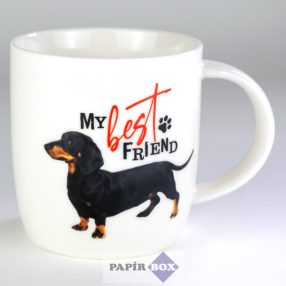 27. My best friend bögre, Tacskó 1