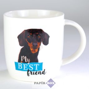 28. My best friend bögre, Tacskó 2.