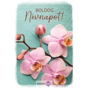 Képeslap, Névnapos, Orchidea