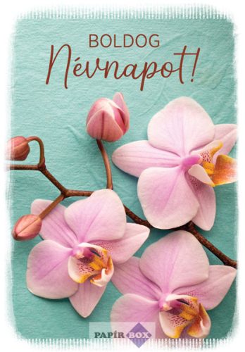 Képeslap, Névnapos, Orchidea