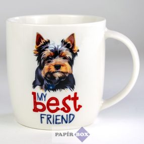 36. My best friend bögre, Yorkshire terrier