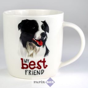 37. My best friend bögre, Border collie