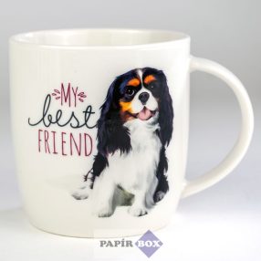 42. My best friend bögre, Cavalier King Charles Spániel