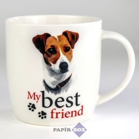 44. My best friend bögre, Jack Russel terrier