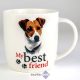 44. My best friend bögre, Jack Russel terrier