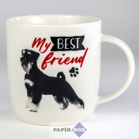 49. My best friend bögre, Schnauzer