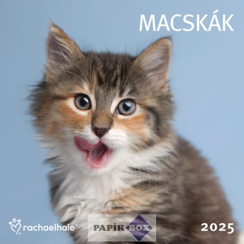 Falinaptár 2025. Rachael Hale - Macskák