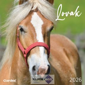 Falinaptár 2026. Lovak