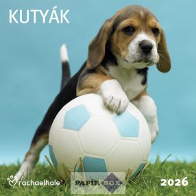 Falinaptár 2026. Rachael Hale, Kutyák