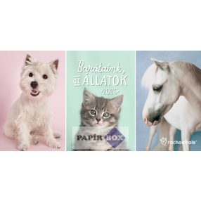 Asztali naptár, 2026. Rachael Hale - Barátaink az állatok