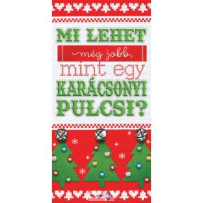 Képeslap, Karácsony, zsebes, Pulcsi