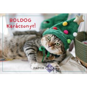 Képeslap, Karácsony, Cica