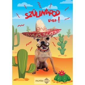 Zenélő képeslap, Szülinapos, Mexikó Csivava