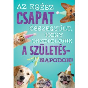 Képeslap, születésnap, Csapat