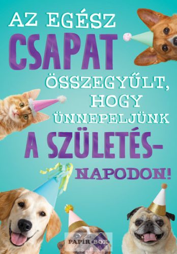 Képeslap, születésnap, Csapat