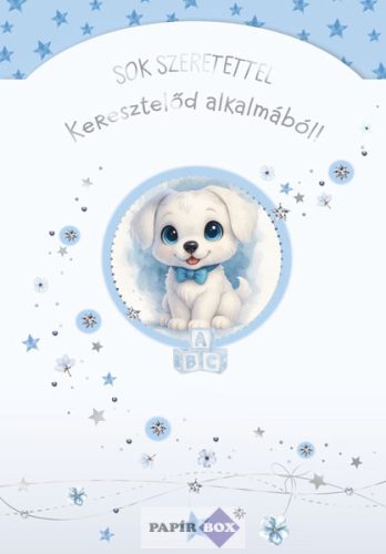 Képeslap, Keresztelő, Kutyás, fiús