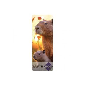 3D könyvjelző, Capybara