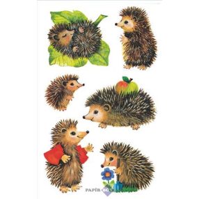   Matrica, papír, AVERY ZWECKFORM, "Z-Design No.4306", sünik