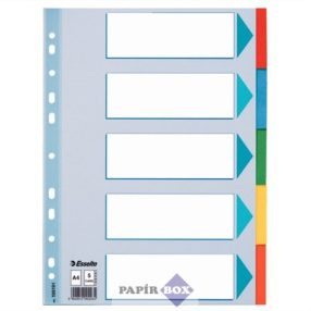   Regiszter, karton, A4, 5 részes, írható előlappal, ESSELTE "Standard", színes