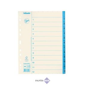 Regiszter, karton, A4, 1-12, ESSELTE, fehér