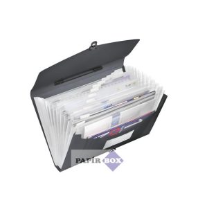   Harmonikatáska, A4, PP, 12 rekeszes, ESSELTE "Vivida", fekete